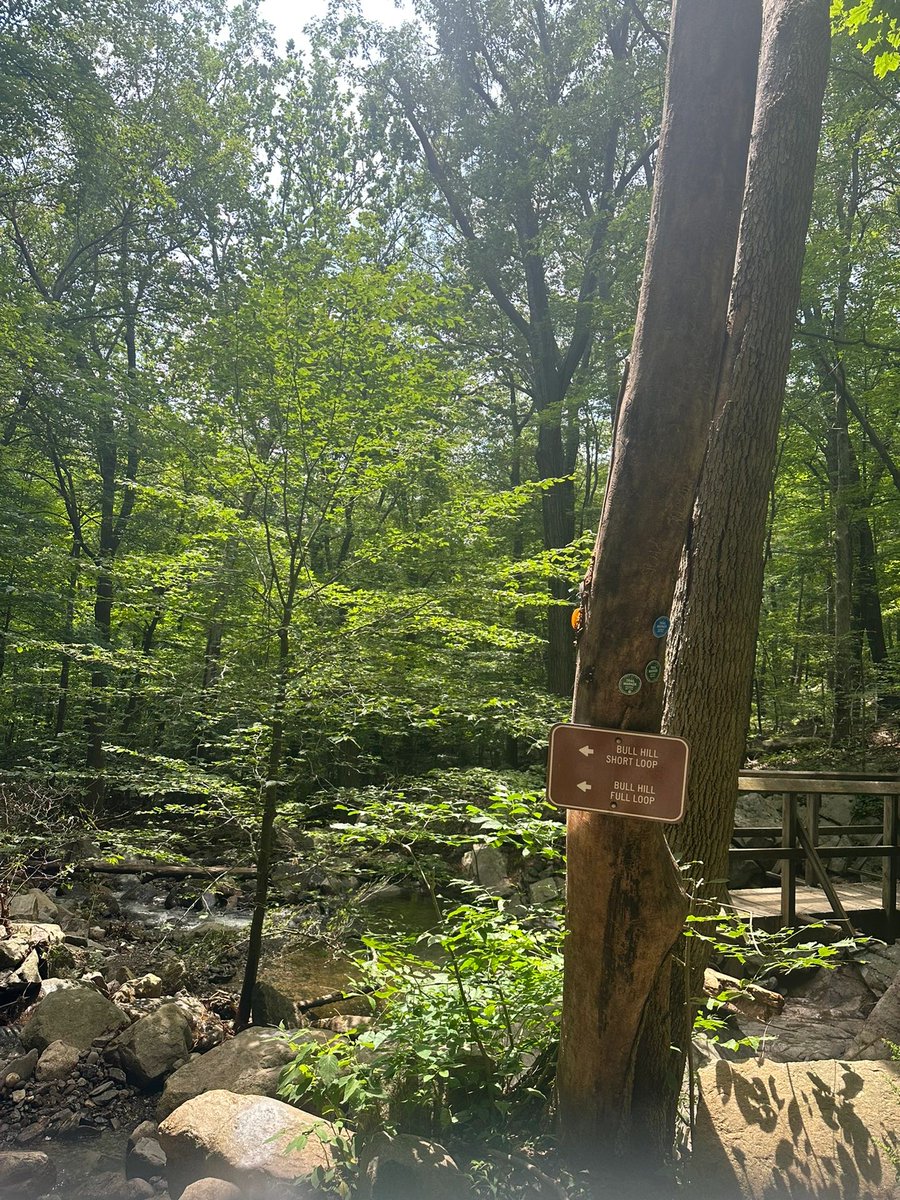 daversifier's tweet image. Hudson River Cold Springs Overlook in Hudson Highlands State Park, NYC #travel #nature #travel photography #photography #love #photooftheday #liked #summer #explore #travel #vacation  #vacation #follow #travel #happy #fashion