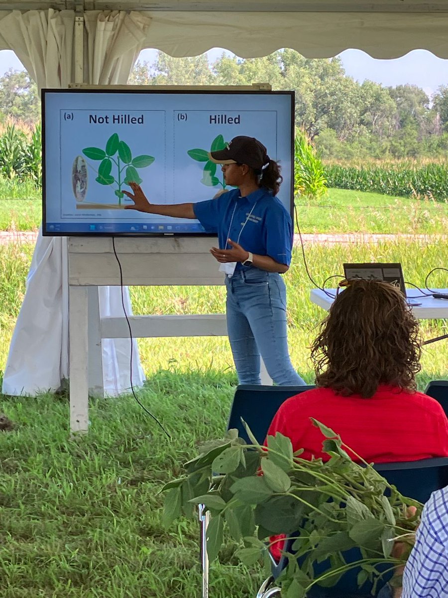 Nebraska Entomology (@unlentomology) on Twitter photo Great Work on the Multi-State Soybean Gall Midge Field Day at ENREEC! Pictured are Dr. Justin McMechan (right) and Pragya Gupta (L), MS student mentored by him. <a href="/justinmcmechan/">Justin McMechan</a> <a href="/BrunerUnl/">UNL Entomology Lawrence Bruner Club</a> <a href="/pragyagupta05/">Pragyagupta05</a> <a href="/BobWright/">Robert M Wright</a> #Soybeans #gallmidge Great Work on the Multi-State Soybean Gall Midge Field Day at ENREEC! Pictured are Dr. Justin McMechan (right) and Pragya Gupta (L), MS student mentored by him. <a href="/justinmcmechan/">Justin McMechan</a> <a href="/BrunerUnl/">UNL Entomology Lawrence Bruner Club</a> <a href="/pragyagupta05/">Pragyagupta05</a> <a href="/BobWright/">Robert M Wright</a> #Soybeans #gallmidge