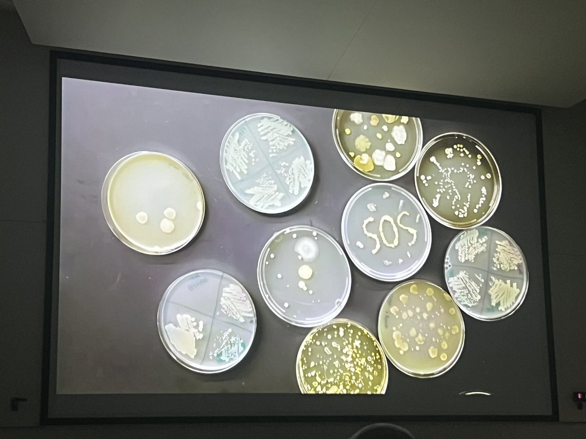 bentpetersen's tweet photo. Diane Shader Smith is giving her keynote “From Salt in Her Soul to Phage in her lungs - the story of Mallory Smith” at @Evergreen_Phage. Highlighting the importance of creating a universally accepted and understood term for AMR. #mallorysmith #AMR #phages #bacteriophage https://t.co/NyGKcPErg5