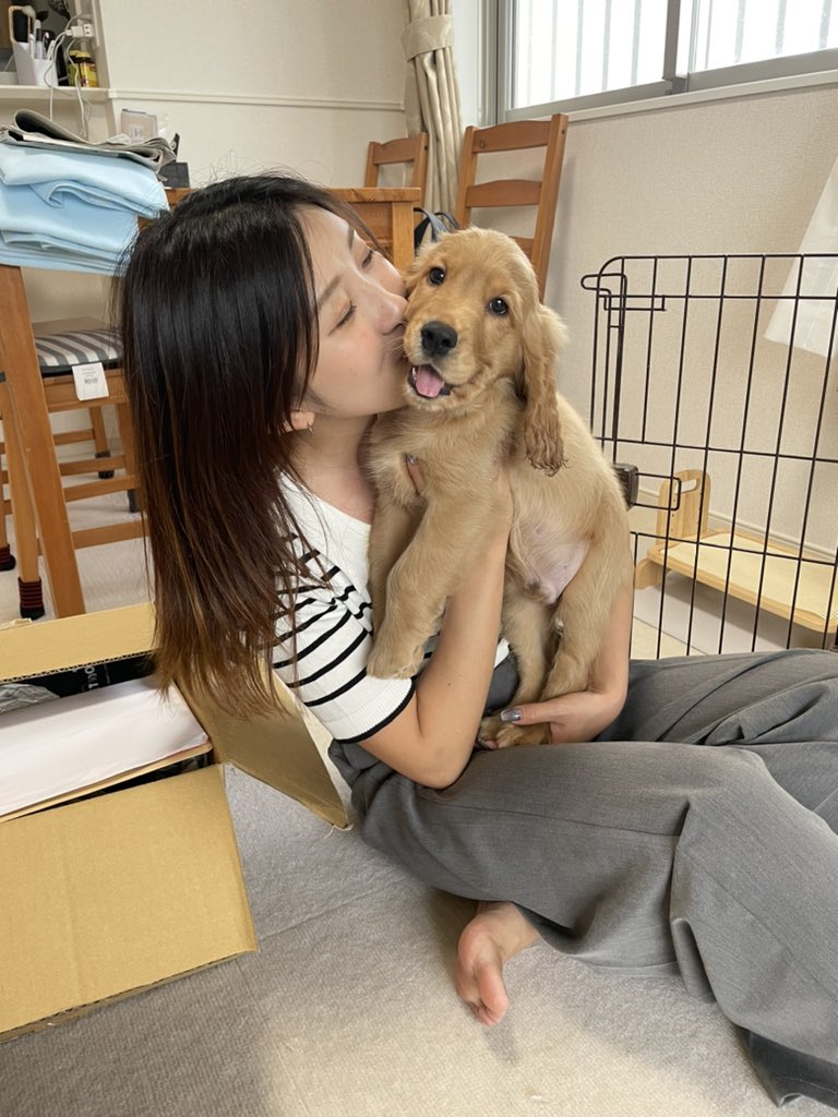 _isirui_'s tweet photo. 6月に子犬を迎えました💓
ゴールデンレトニエルの男の子です🐶

今年の初めに亡くなった17年生きた実家のわんちゃんにどこか似ています😌

dad   E•コッカースパニエル
mom G•レトリバー https://t.co/8xZ5e9SrBd