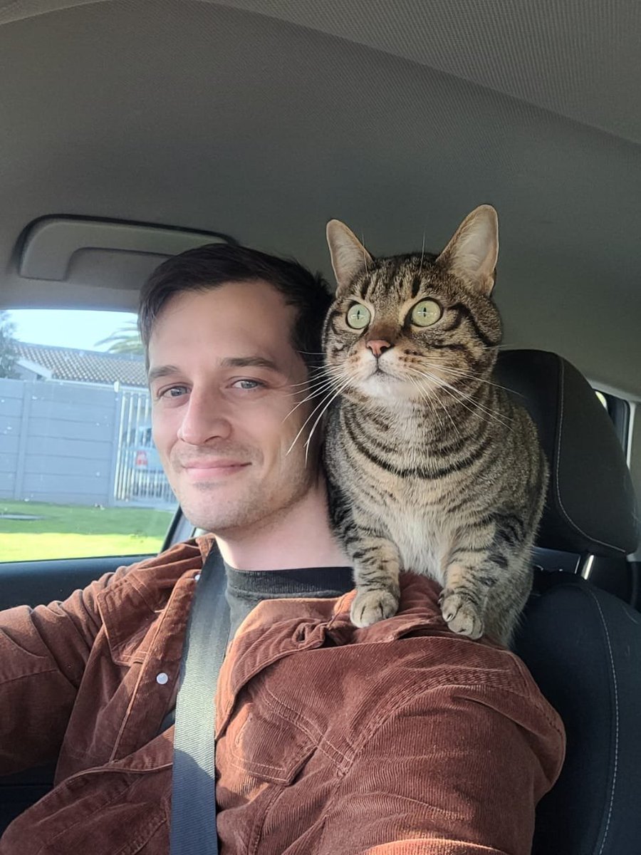 coquet_tish's tweet photo. my cat gets bummed when we leave him out of adventures with the dogs, so now my husband takes him for a little drive around the block in the evenings. 14/10 cat dad https://t.co/8Hdv0PQNl6