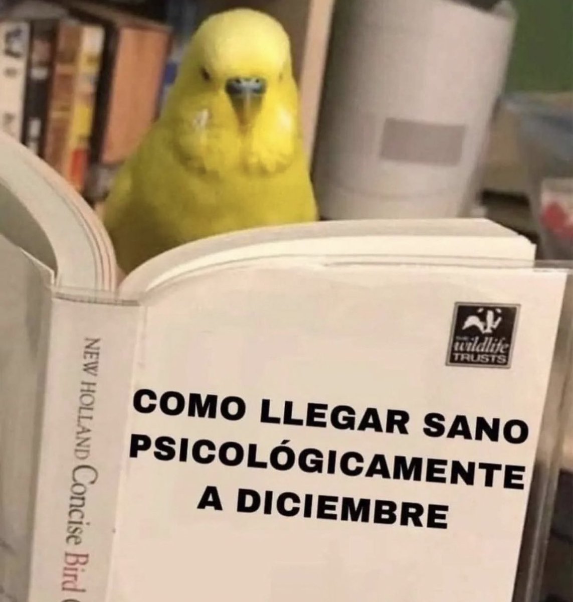 piña sin pizza (@skereunpesado) on Twitter photo 