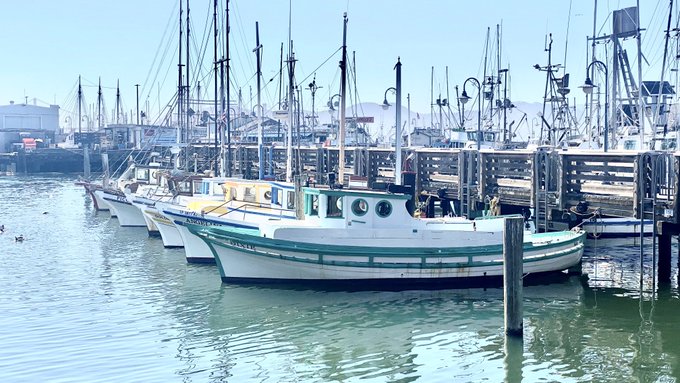 Good morning from San Francisco 🌞💋 Next stop on my #Roadtrip Lake Tahoe! https://t.co/uCuvVq4dyI<a href="/tag/roadtrip"class="tags"><span>#roadtrip</span></a>