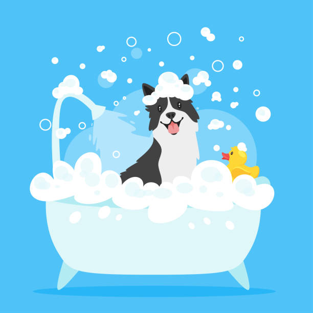 ElginVet's tweet photo. Attention everyone! We are offering 10% off spa- days this week! Spa days include: nail trim, anal gland expression, ear cleaning and a bath.
Call us at 803-408-0383 OR Email us at alwaysdonoharm@gmail.com to schedule today! https://t.co/RYai0pkerh