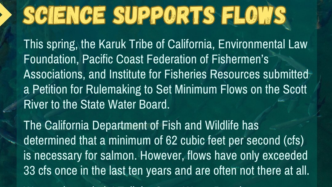SaveCaliSalmon's tweet photo. We need your help to protect & restore #klamathriver salmon.
Support @TheKarukTribe petition to stop the dewatering of the Scott River and help make sure we do not have more years of salmon fishing closures.
#ClimateJustice #fishneedwater #NativeAmericans
@Cal4Justice @Y_Vs_A https://t.co/E66X94JdKp