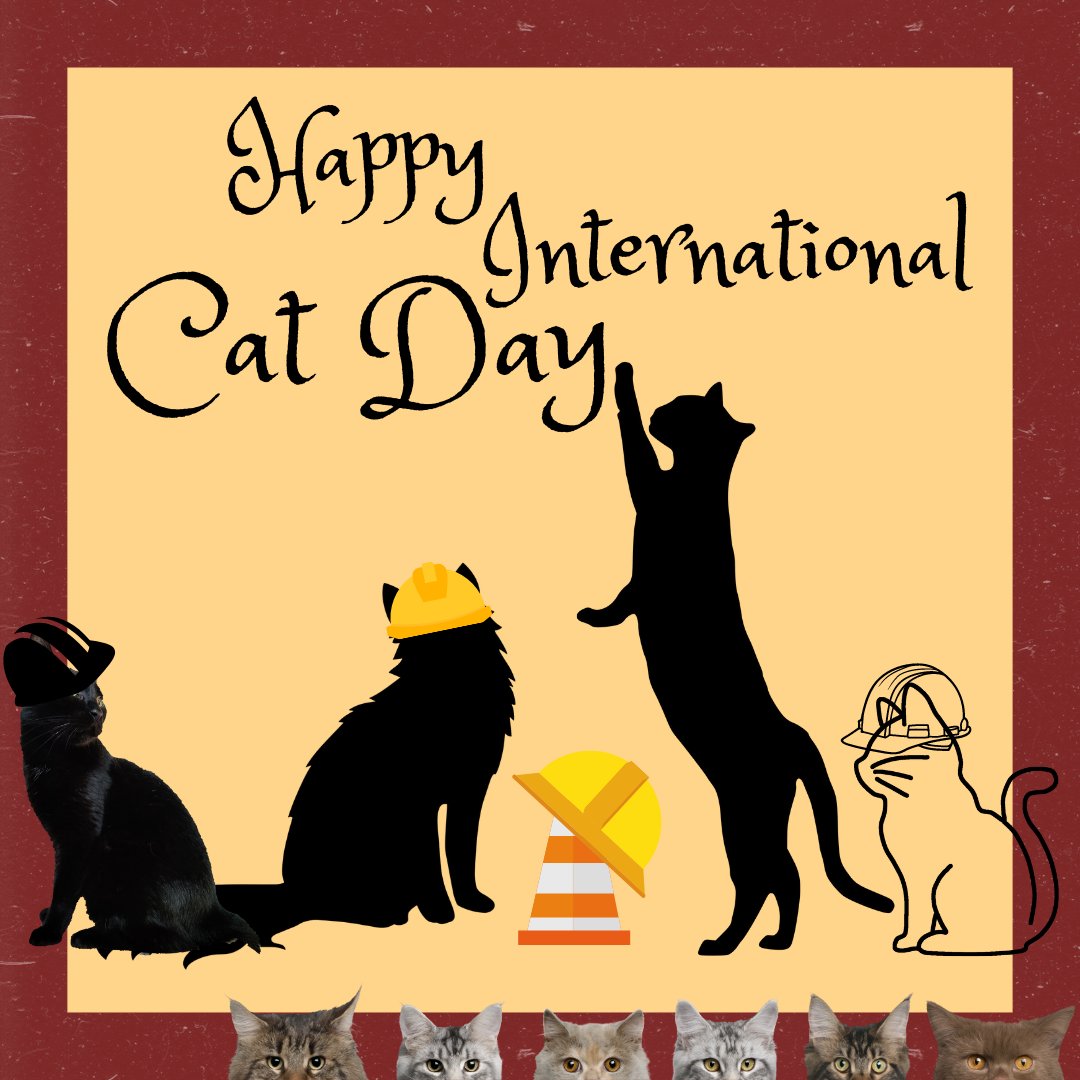 Happy International Cat Day!! We practice safety in the field and so do our companions. #cats #InternationalCatDay #Boilers #Aug8 #Safety