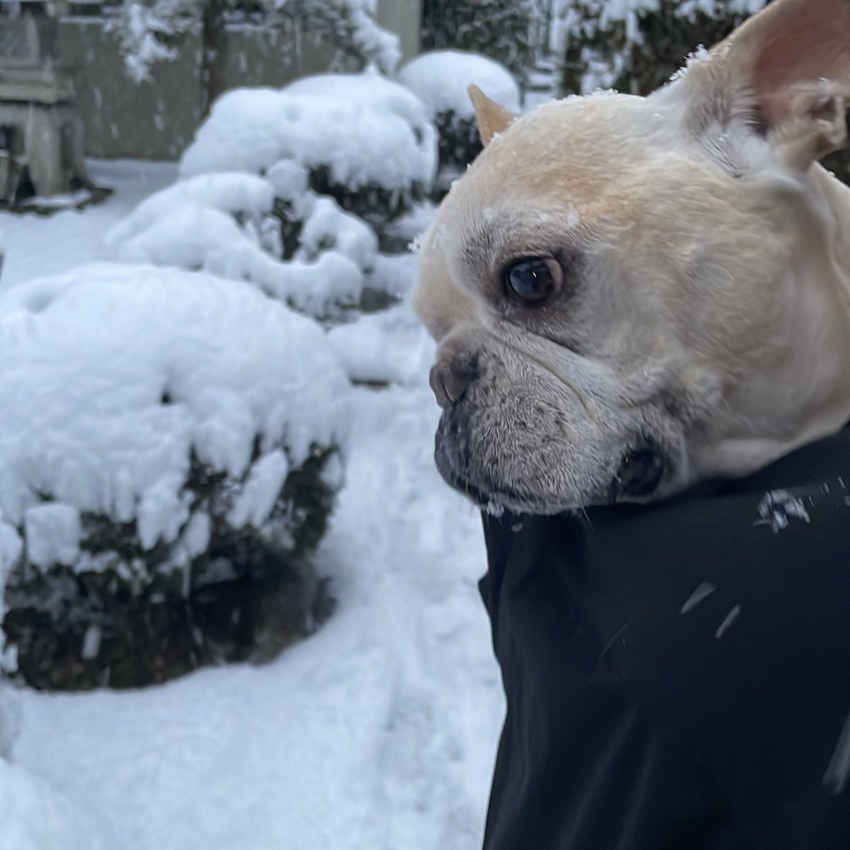 ゆうと tweet media