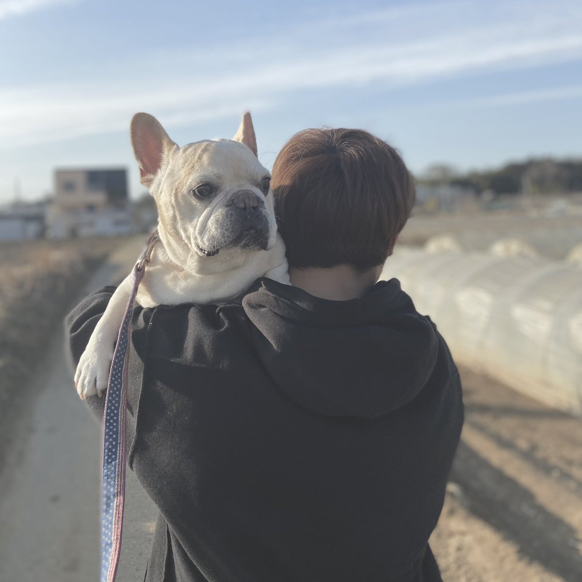 ゆうと tweet media