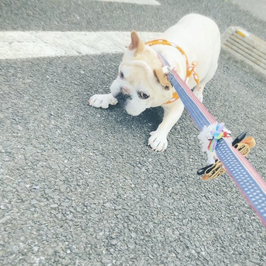 ゆうと tweet media