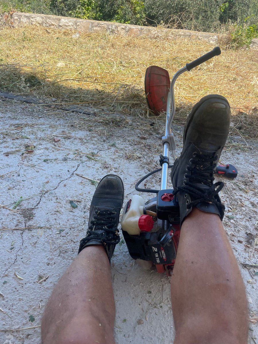 Kral <a href="/nazeningemi/">SUHULET KANTONYAN</a> vilasını hatırlamış yerleşecekmiş… diesel botlarımı giydim bahçesini temizliyorum… kendi yetmezmiş gibi 😂