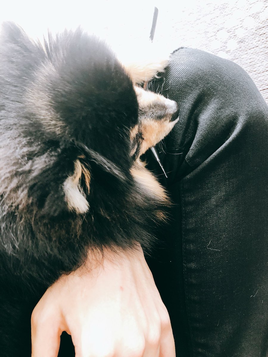 02ammood's tweet photo. กิจกรรมยามว่าง กัดหลอด https://t.co/kBi11PVJ7Q