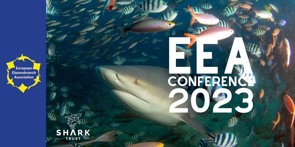 #EEA2023, Oct 18-20th Brighton, UK.
Ticket sales at EEA2023.eventbrite.co.uk!
Submitted an abstract?  Check email for notification of acceptance, then register &amp; pay by Aug 31st to complete the process.
Got your ticket? Then we'll see you in Brighton for the 25th EEA Conference!