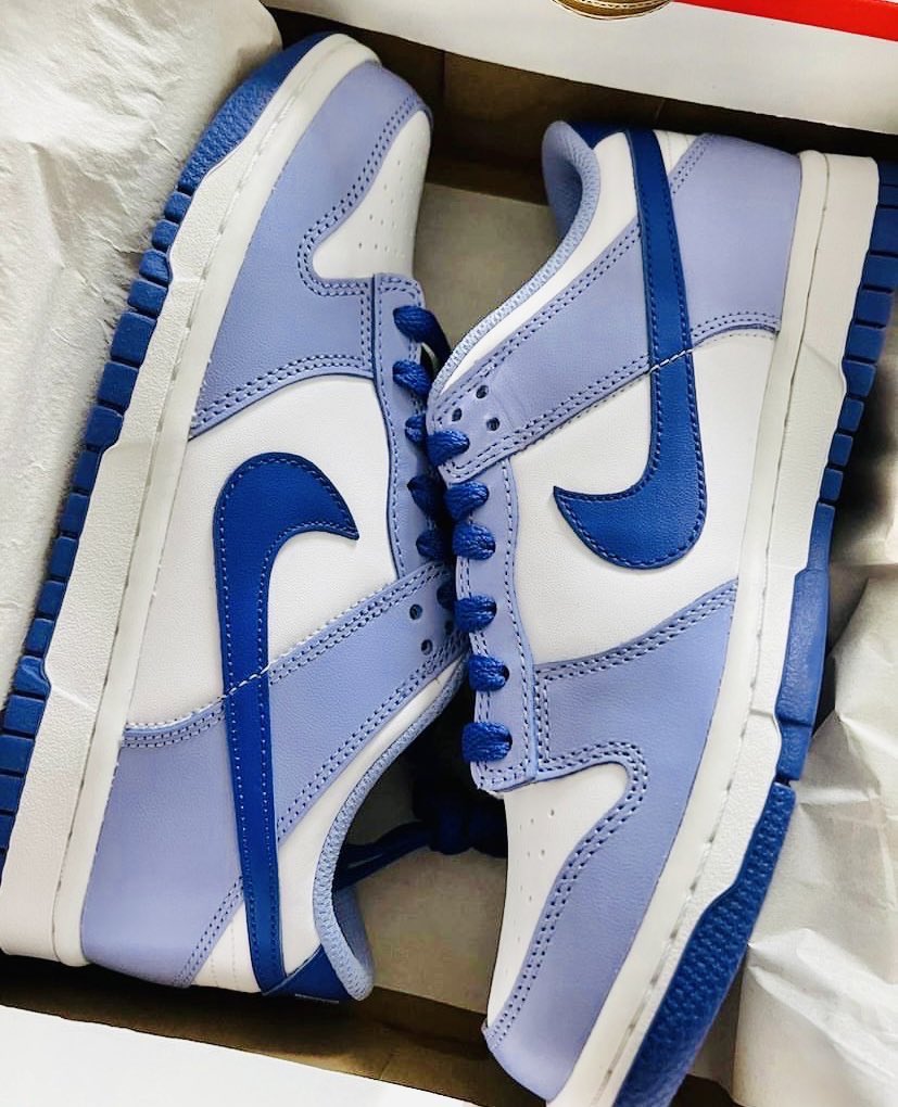 Nike Dunk Low « Blueberry » 🫐