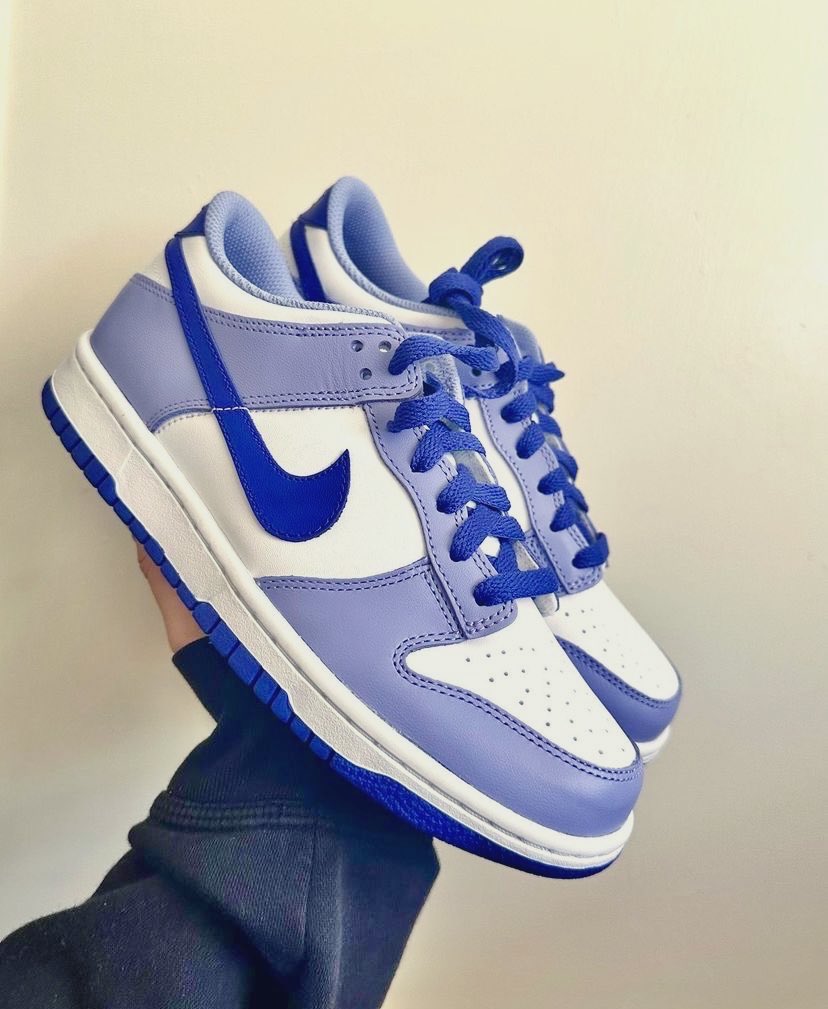 bestoffshoes's tweet photo. Nike Dunk Low « Blueberry » 🫐 https://t.co/RA0EOpmMW4