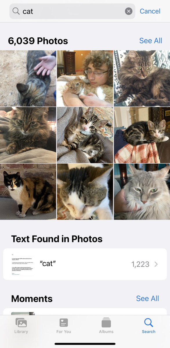 Jefferspet's tweet photo. Happy International Cat Day! I have 6,039 photos of cats on my phone. I’m curious… Is this more or less than most people 😊 https://t.co/3PiT4taMh5
