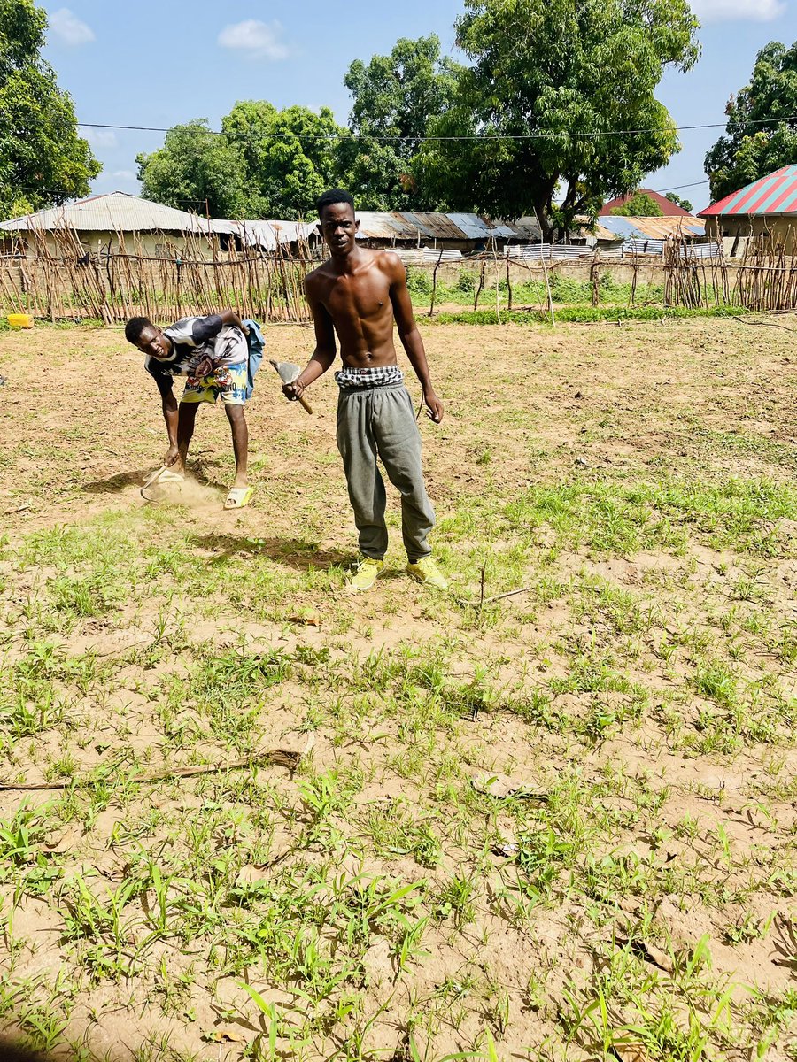 JallowDaniel's tweet image. Rainy season time to go back to the farm . Grow what you eat and eat what you grow . @peaceisreason  .