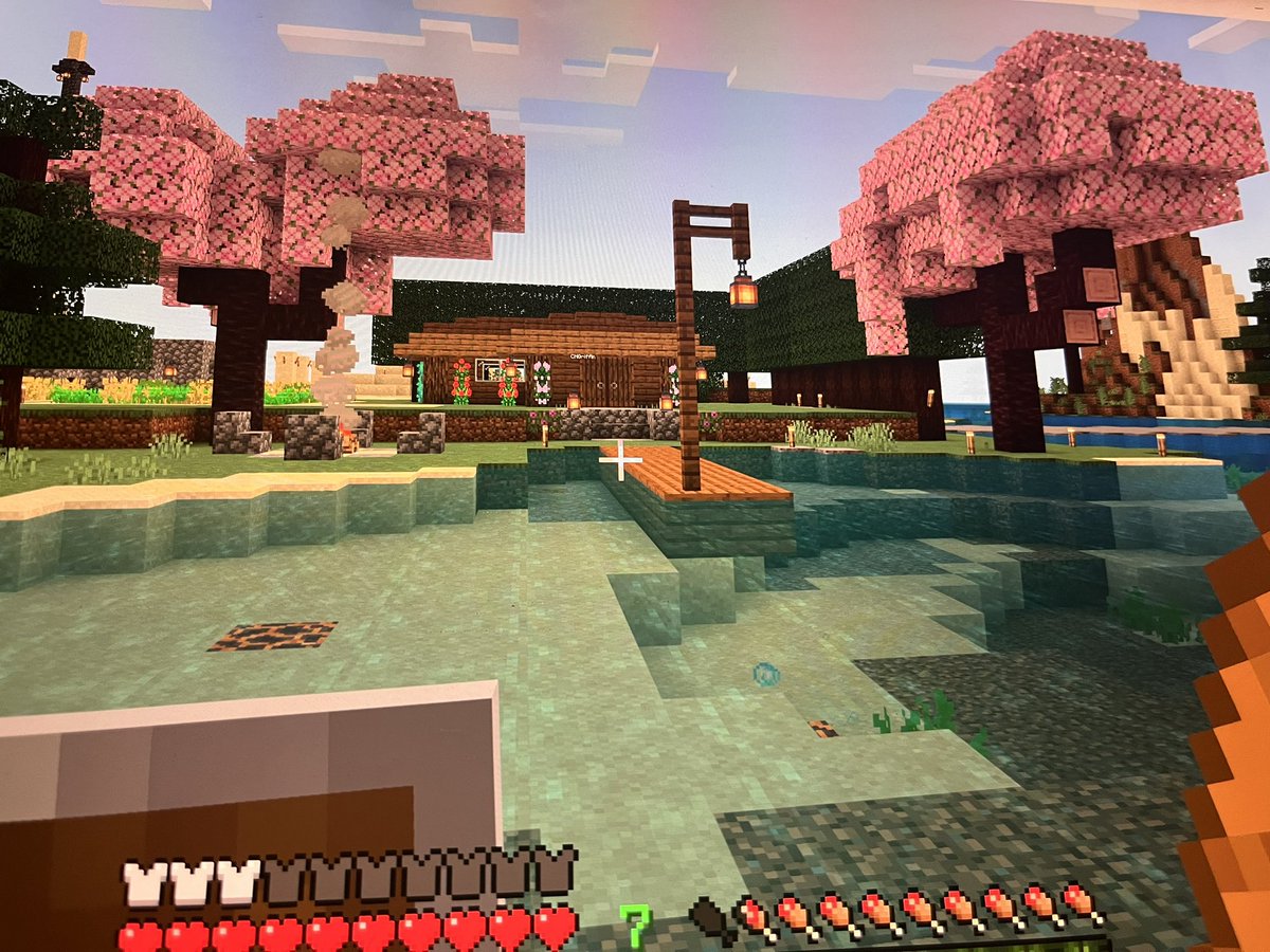 katiesmith417's tweet photo. My boyfriend’s green flag is that he’s turning our Minecraft home into a Barbie dream house @CHGRFF https://t.co/Q01v2zeZ8c
