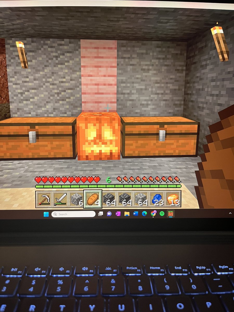 katiesmith417's tweet photo. My boyfriend’s green flag is that he’s turning our Minecraft home into a Barbie dream house @CHGRFF https://t.co/Q01v2zeZ8c