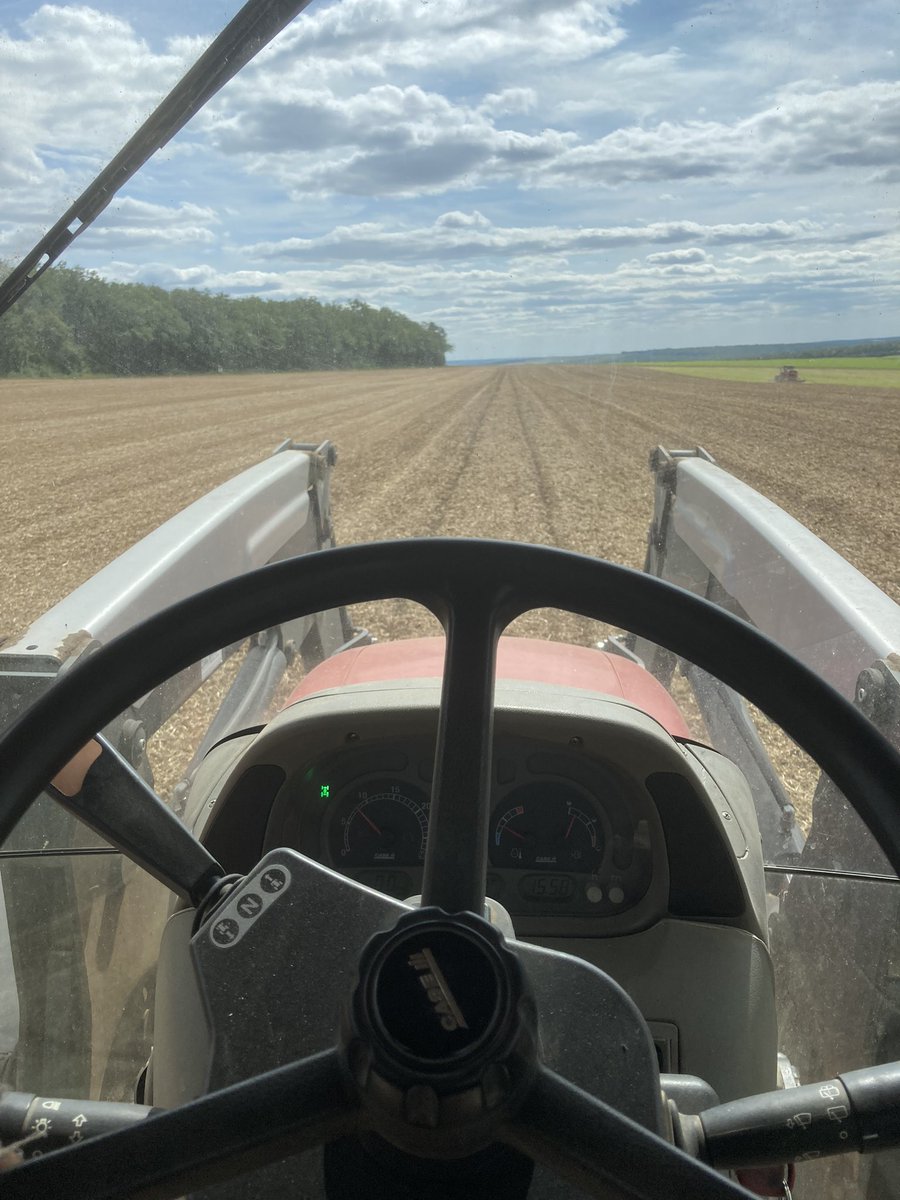 OlivierCOSTE2's tweet photo. En 2022 et avant les ⛈️ du #15août,
on avait de la poussière pendant les semis sur les plateaux de Bourgogne.
Cette année,c’est dans le frais que l’on positionne #ZaZa la graine de #Colza et les graines des plantes compagnes (Fenugrec/Lentille/Trèfle🍀)#FrAgTw. https://t.co/MBepXSa2n6