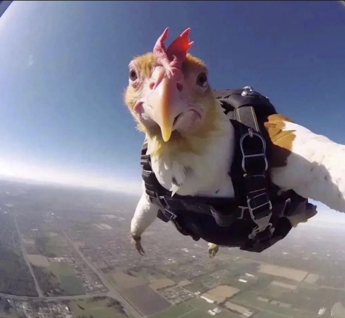 Daniele (@onlyblitzv2) on Twitter photo 