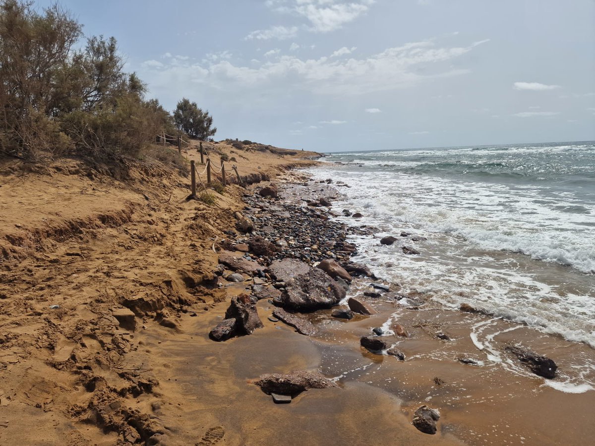 SCalblanque's tweet photo. Meses después de advertir a gestores de @CalblanquePR #Cartagena de problema acceso de pasarela de Atochar-Playa Larga, lejos de solucionarlo, ha empeorado con el temporal de Levante e impedía acceso a 1 #minusvalido y visitantes van abriendo senda alternativa en duna protegida. https://t.co/TOjyy2CWzA