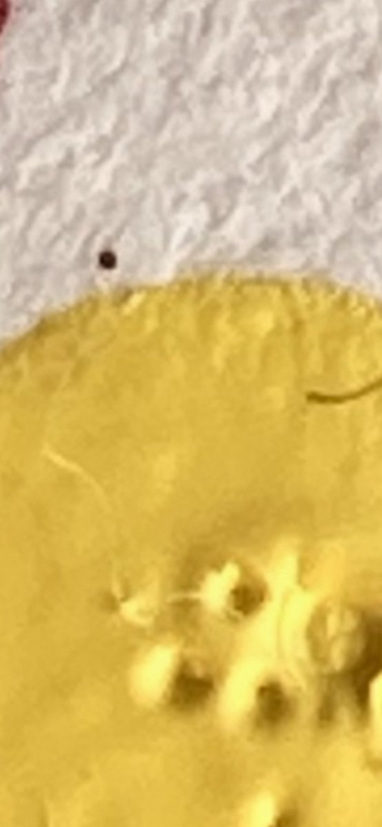 But seriously … what planet are we on? #TheCurrency <a href="/HENI/">HENI</a>