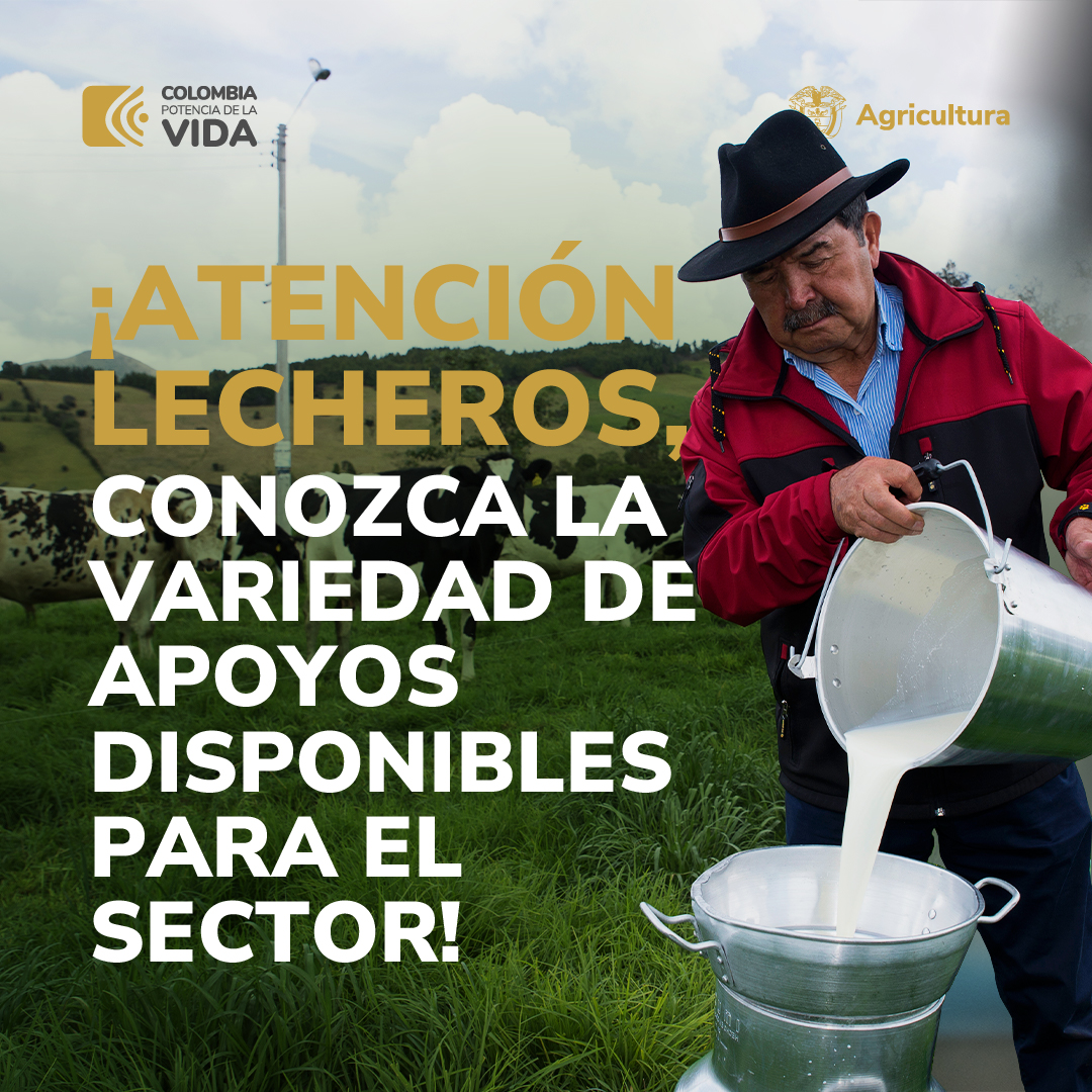 MinAgricultura's tweet photo. ¡Tenemos buenas noticias para el sector lechero! 🙌🐄
Estas son las estrategias que el #MinAgricultura realiza para impulsar a los lecheros 🐮  del país. 🇨🇴 

🧵 Conoce los alivios, compensaciones, mesas de negocios y líneas especiales de crédito para el sector. 💪 https://t.co/CyO7fVh48Y