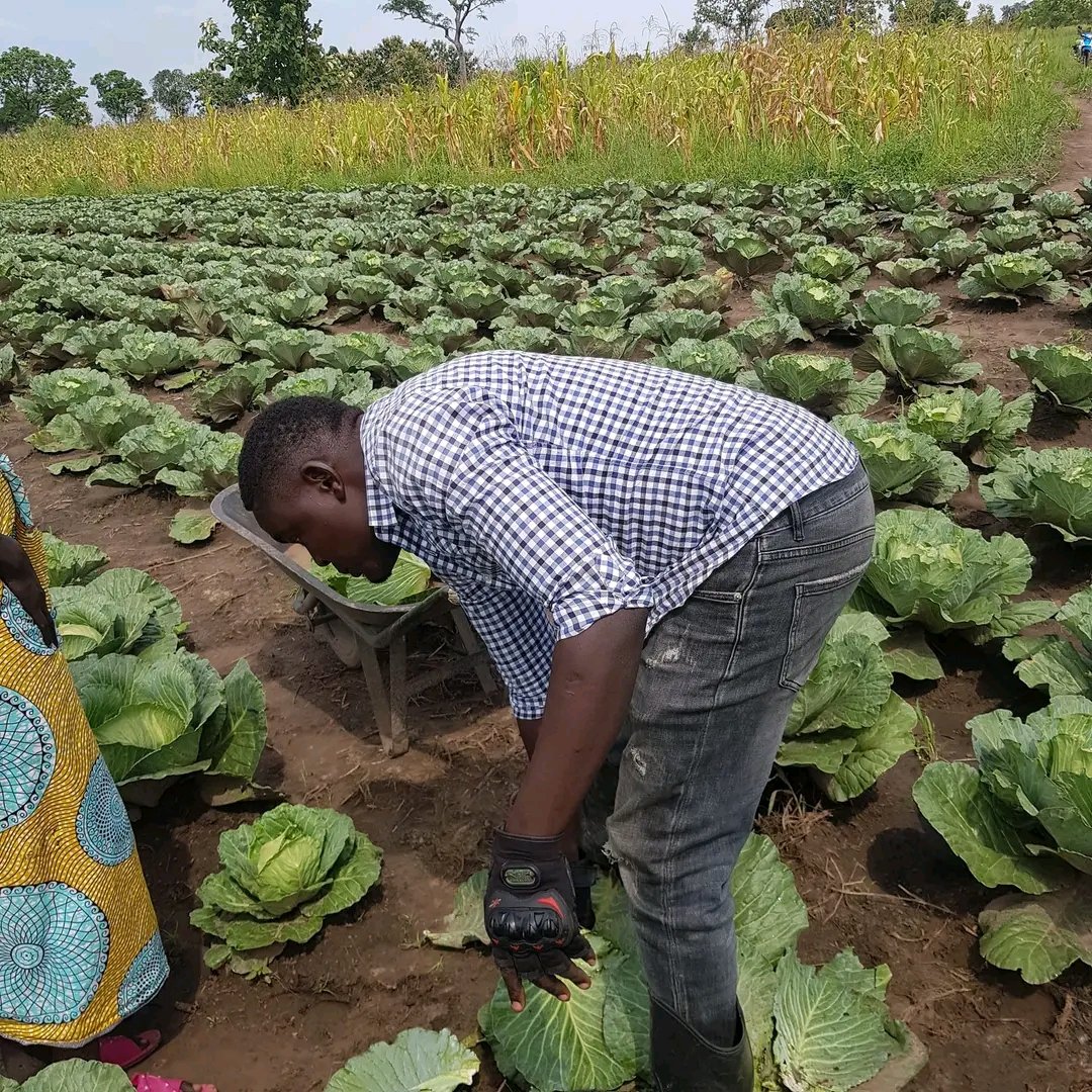 SemeWani's tweet photo. From a 📻 mouthpiece to crop/vegetable farming. Moses Yasin, a renowned journalist, opted to fight food insecurity in the realisation of #SDG. It's our collective responsibility towards #ZeroHunger. 📸 via his Facebook account. https://t.co/pMboZ0tjpN