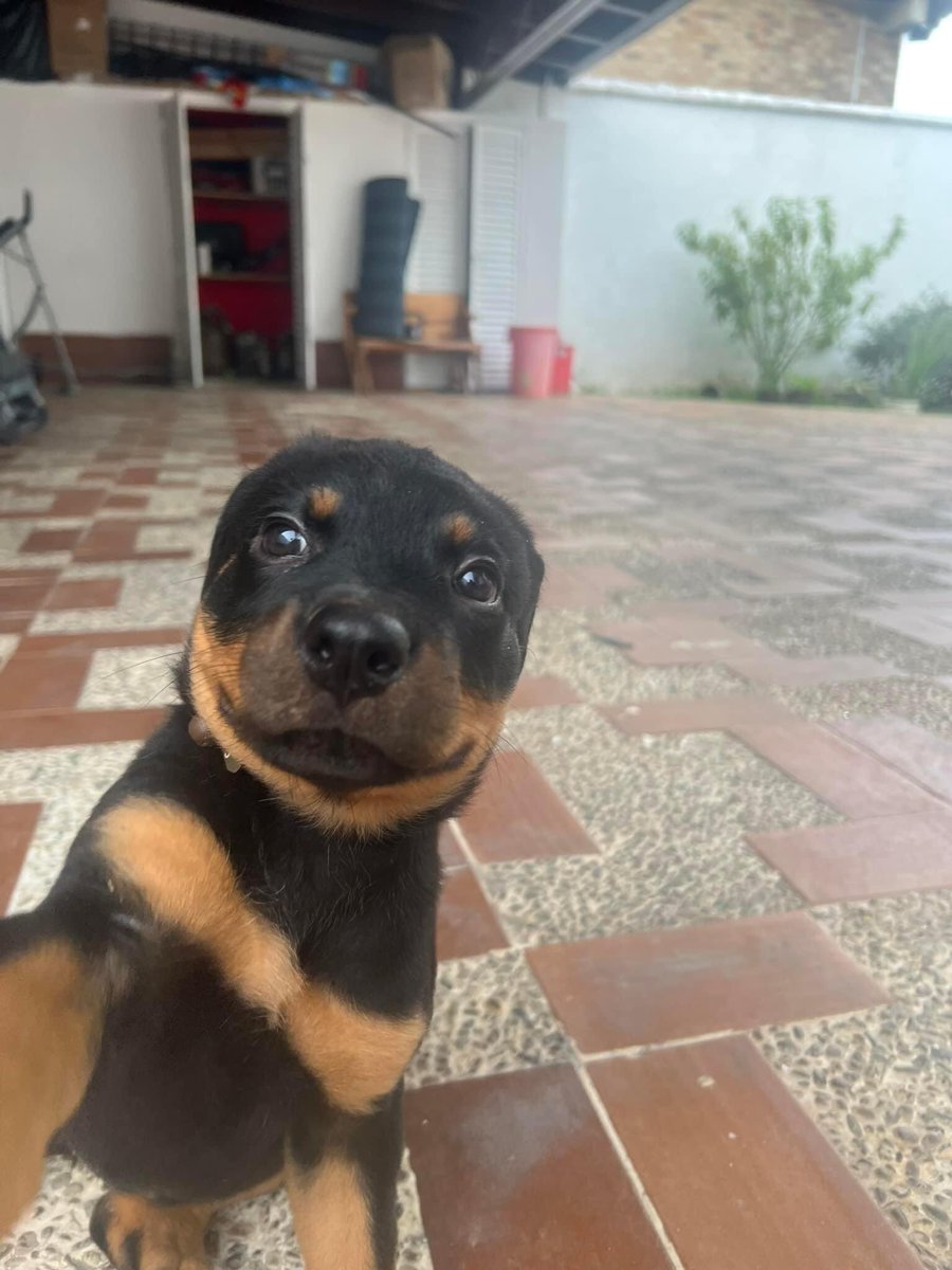 jnkfragile's tweet photo. Gente vocês não precisam criar conta nova é só colocar qualquer conta por exemplo eu coloco qualquer nome "Suzan@gmail.com" e vai enviar os votos já que o site da MTV não pede confirmação. https://t.co/sz3fz3tqKQ