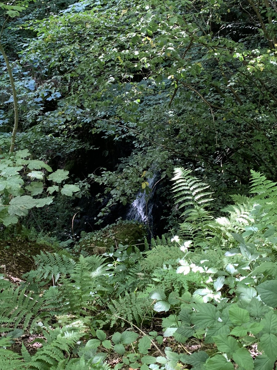 You change up your routine and get this beautiful scenery.