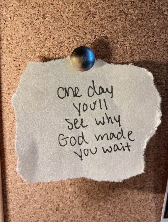 wise_chimp's tweet photo. One day https://t.co/jFx3JAFuVb