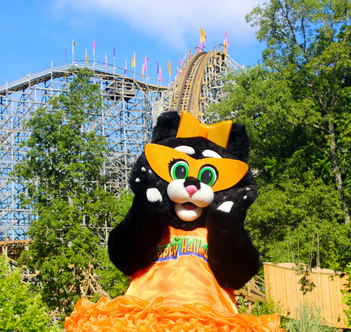 HolidayWorld's tweet photo. Happy International Cat Day! It's the purrr-fect day to celebrate Kitty Claws! Share your favorite photo or memory with Kitty Claws in the comments below.
#HolidayWorld #Cat #InternationalCatDay #KittyClaws #Halloween https://t.co/FbcW2PC1Jd