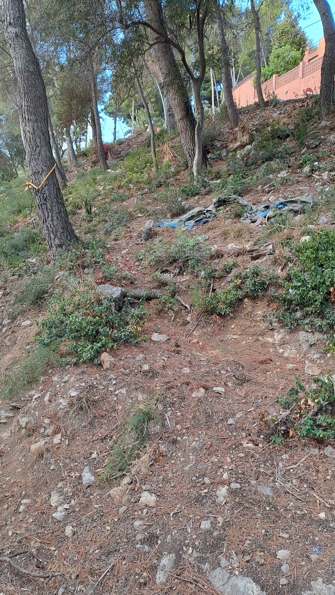 esconleo's tweet photo. @Cdfmesneta @AjCastelldefels @manureyeslopez @manualcalde_
Passeig de la Muntanya, un desastre, una bergonya, abandonament de la neteja al barri de bellamar. Finalitzades les obres de clavegueram i així segueix. https://t.co/gtRjYPnW1L