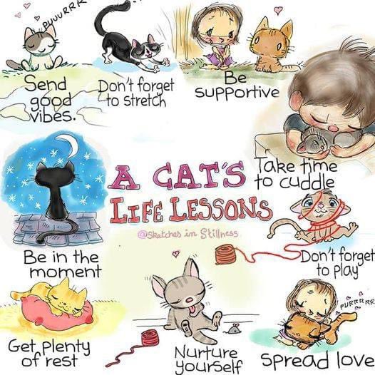 SketchesinStillness tweet media