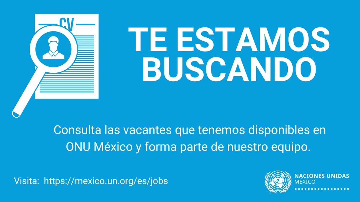 ONUMX's tweet photo. #MartesDeVacantes
💼Te estamos buscando. Forma parte del equipo de #ONUMéxico
Consulta más en: 📌 https://t.co/CZzHoCFPhj
#SomosONU https://t.co/EPEALVJVxj