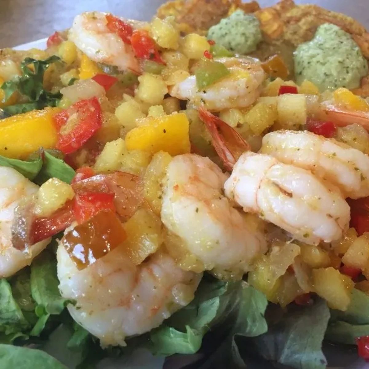 Mojito (@Mojito_Seattle) / Posts / X