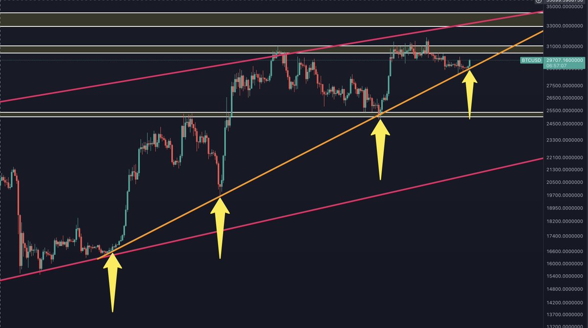 Wisdom Bites tweet media