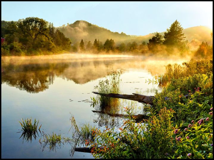 GinaEllis4's tweet photo. #sainteadele #quebec #mist #northriver #naturephotography https://t.co/4v37xWDcC2