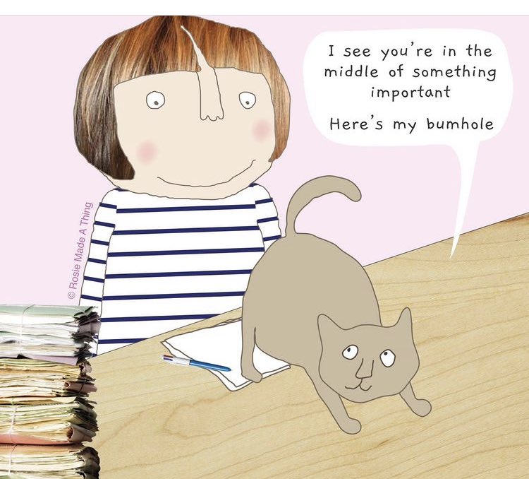 Tax Return Time reminds me of my cat, every year 
(From @RosieMadeAThing)