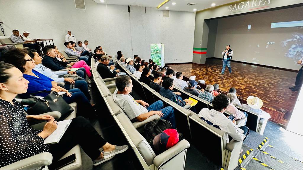 Damos la bienvenida a productores de grano del estado para la presentación del panorama de granos para lo que queda en este 2023 por parte de <a href="/StoneX_MIG/">StoneX Miami Grains</a>