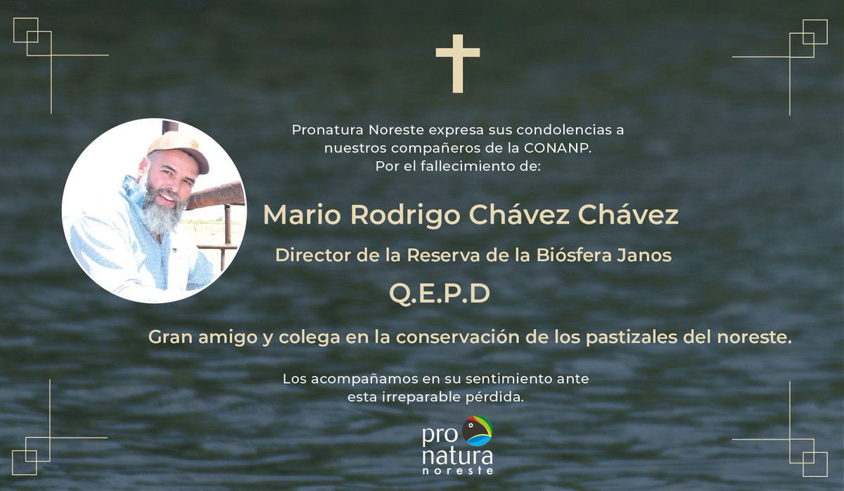Lamentamos profundamente el fallecimiento de Mario Rodrigo Chávez Chávez, director de la Reserva de la Biósfera Janos, un gran amigo y colega en la conservación de los pastizales del noreste.

Nuestro más sentido pésame a sus seres queridos y a nuestros compañeros de <a href="/CONANP_mx/">CONANP</a>