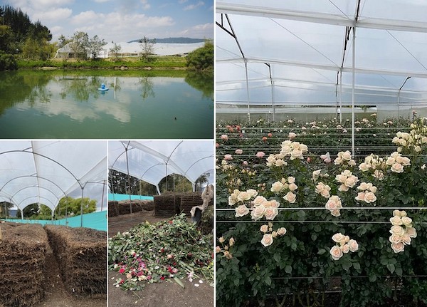 Alexandra Farms expands sustainability efforts, earns carbon neutral certification <a href="/AlexandraFarms/">Alexandra Farms</a> 
floraldaily.com/article/954920…