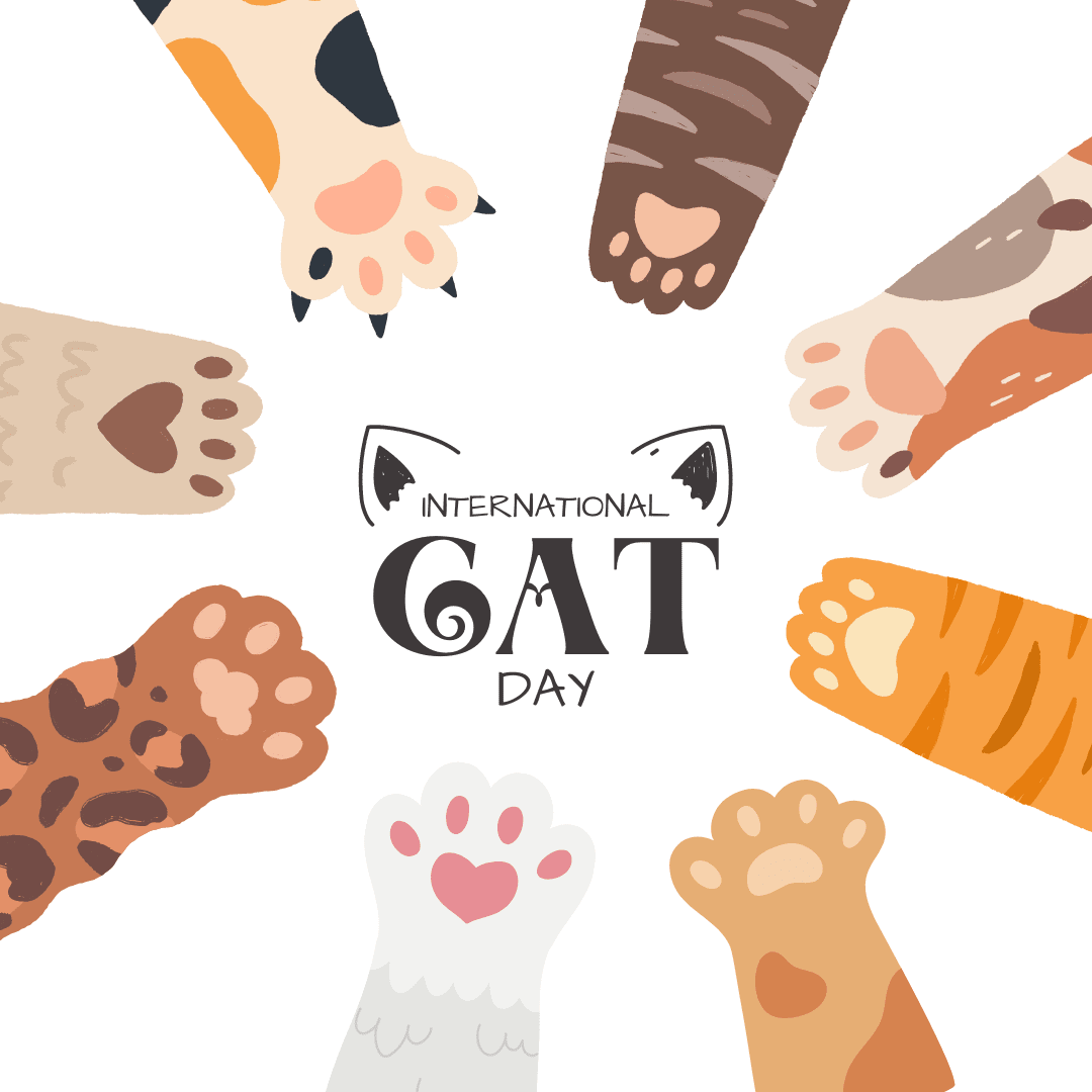 ReadingCommons's tweet photo. It's #InternationCatDay! So today we celebrate all of the kitties at Reading Commons! #HappyInternationalCatDay!
See slide 2 &amp; 4 and let us know in the comments....
- Why do you love your cat? 
- What type of cat do you have? https://t.co/PaRvVoW8jR