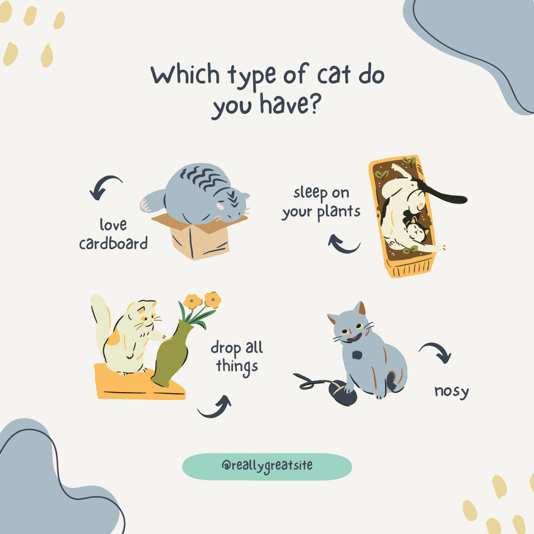 It's #InternationCatDay! So today we celebrate all of the kitties at Reading Commons! #HappyInternationalCatDay!
See slide 2 &amp; 4 and let us know in the comments....
- Why do you love your cat? 
- What type of cat do you have?