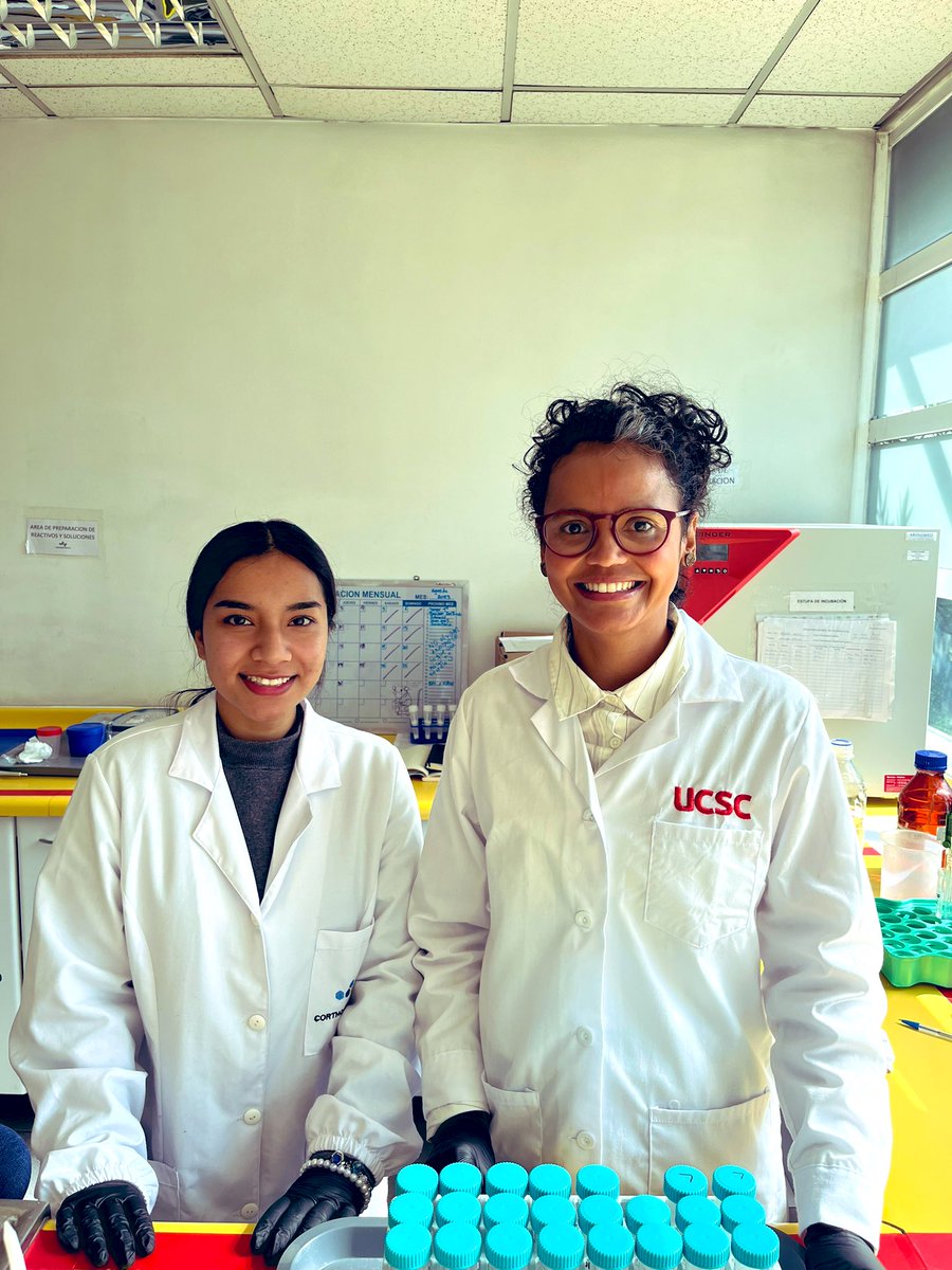 Andressa Reis tweet media