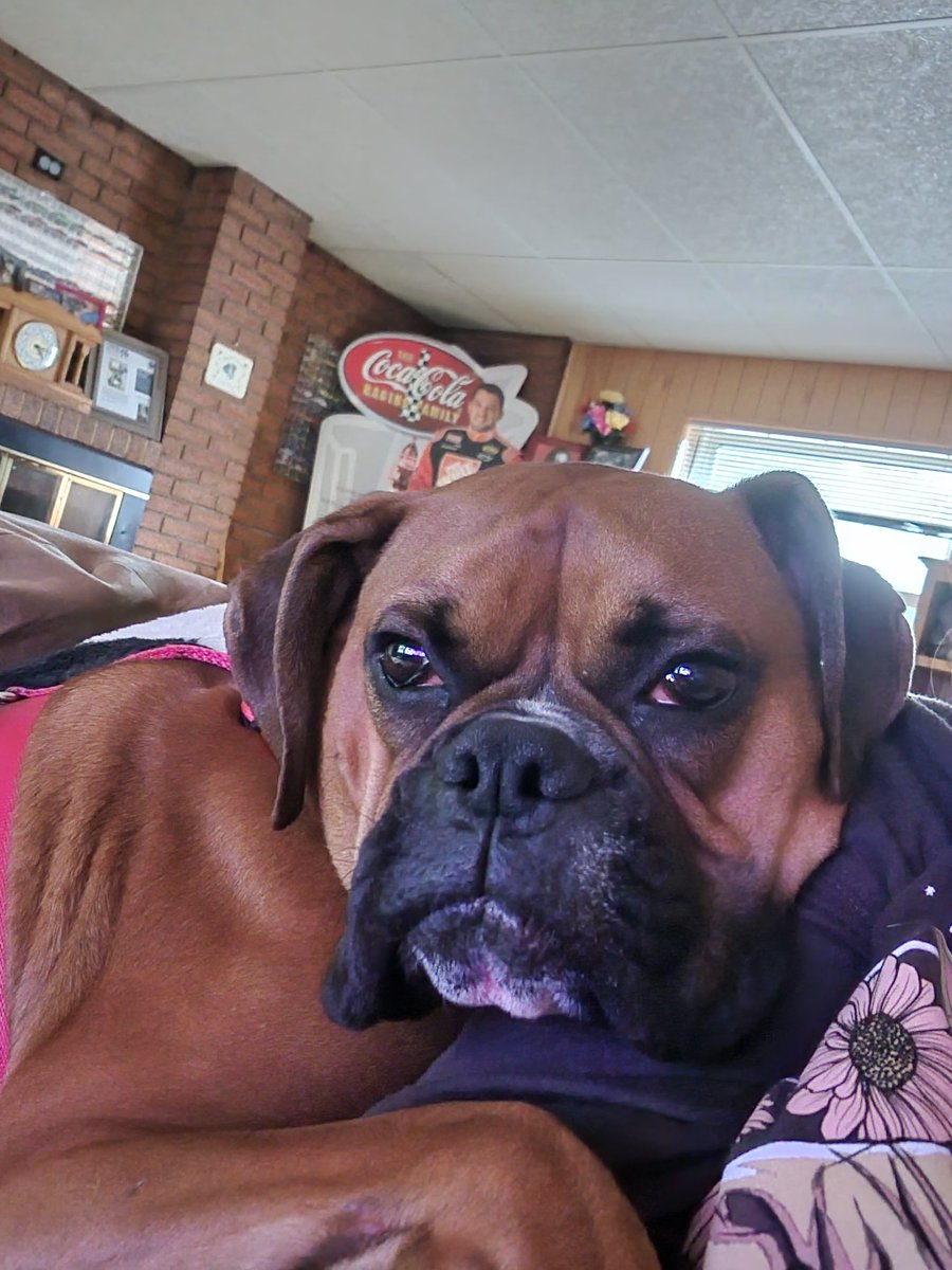 RowdySmoke tweet media