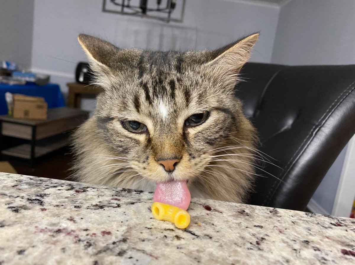 ☆Chris☆ tweet media