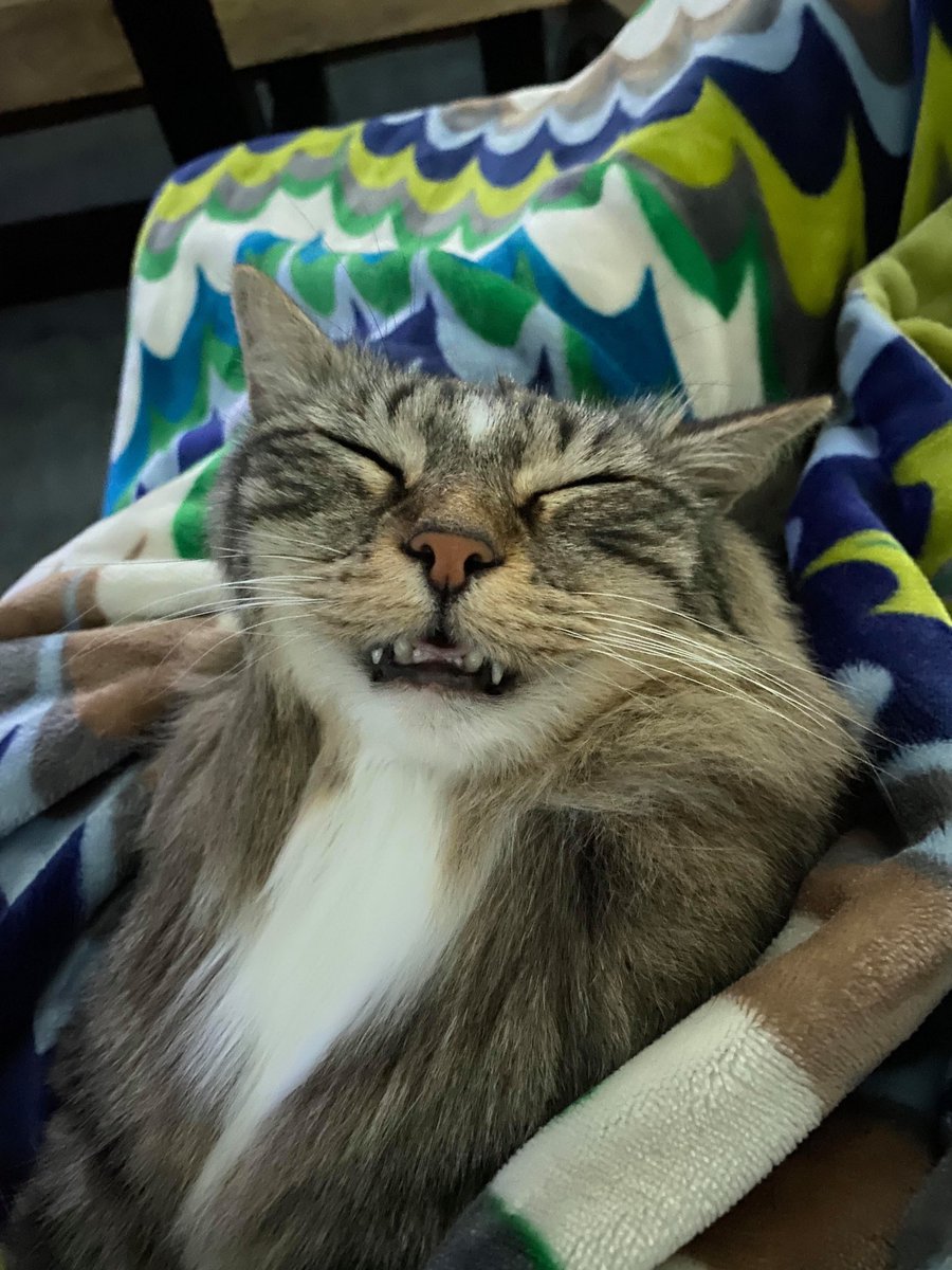 ☆Chris☆ tweet media