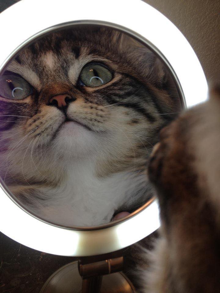 ☆Chris☆ tweet media