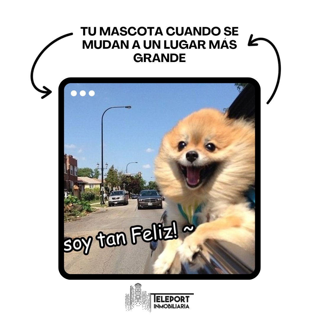 teleport_a's tweet photo. ¡Comparte si te sentiste identificado! 😆🏢

Más información:  https://t.co/TpEbTCAlSy
Calle 113 No. 7 - 21 Local 101, Torre A
Tel: 629 5081 / 620 5043 Cel: 317 369 8390

#Teleport #OpcionesSinLímites #TuNuevoHogar https://t.co/DXjp5bhukh